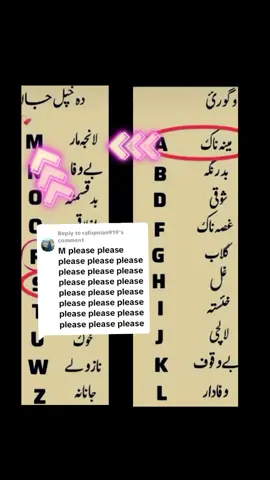 Replying to @rafiqmian919 #وئرلویڈیو🔥 #foryouچکر راکئ ملگرو
