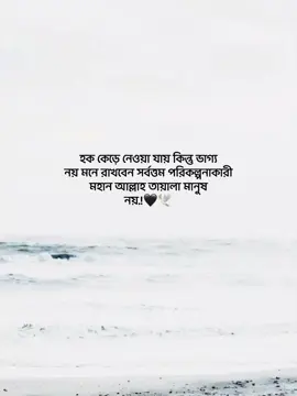 হক কেড়ে নেওয়া যায় কিন্তু ভাগ্য নয় মনে রাখবেন সর্বত্তম পরিকল্পনাকারী মহান আল্লাহ তায়ালা মানুষ নয়#fyp #foryoupage #bdtiktokofficial #niazhasnat20 @TikTok @TikTok Bangladesh 