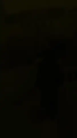 dir ❤️