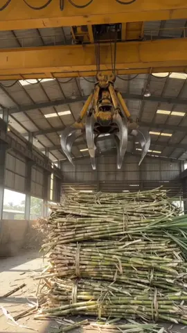 Inside the Sugar Factory – How Sugarcane Becomes White Sugar #manufacturing #FactoryProcess #fyp #FoodTok #tiktokgrowthchallenge 