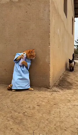 AI funny cat videos 📸😅😅📸📸😅 is my favorite movies 🍿🍿