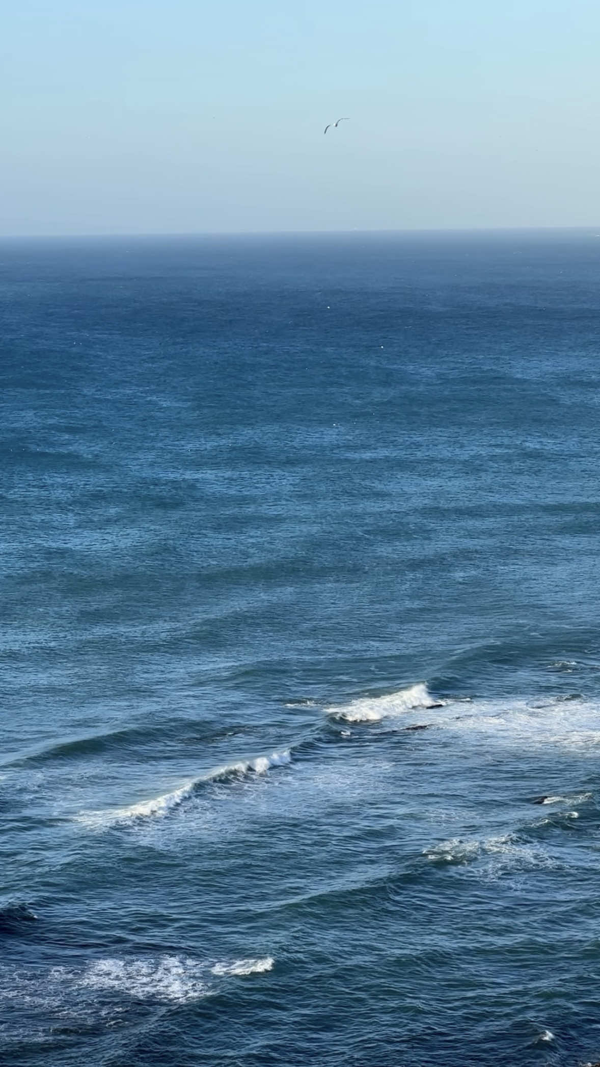 Be free #rabat #casablanca #marrakech #viralvideo #morocco 