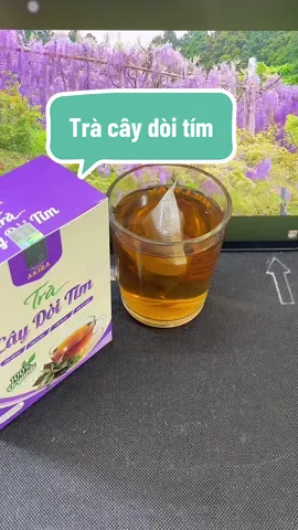 Trà cây dòi tím #tracaydoithantim #tracaydoitim #trathaomoc #healthydrink #xuhuong 