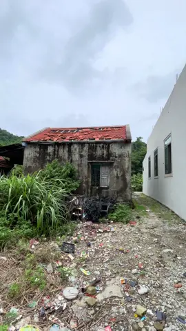 Giấc mơ trồng rau nuôi gà trên đảo phá sản rồi 😅