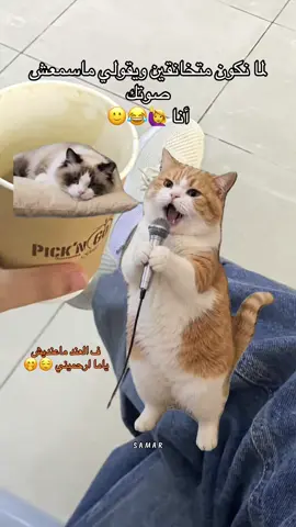 عنديه بس قمرين 😂😂🤭🌚 #taken_by_me #foryou #fyp #fypシ゚viral #viral 