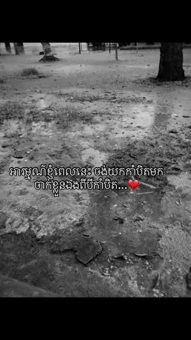 #ចង់ល្បីដូចប្រូដែរ🥹🥹 #សុំបេះដូងម្នាក់មួយមកok🙏❤️អ្នកអត់រឹក 