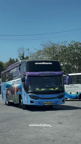 PO WISATA KOMODO DENPASAR-PURWOKERTO DK 7431 UL WK006 JETBUS 3+ MHD #powisatakomodo #wisatakomodobus #busmaniacommunity #busindonesia #fypppppppppppppppppppppppppppppppppppppppppppppppppppppppppppppppppppppp @Gilang Vikki 
