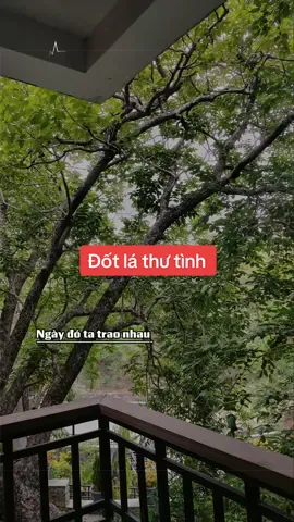 Đốt lá thư tình #nhachaymoingay #xuhuong2025 #foryou #fyp #bolerobuon2 