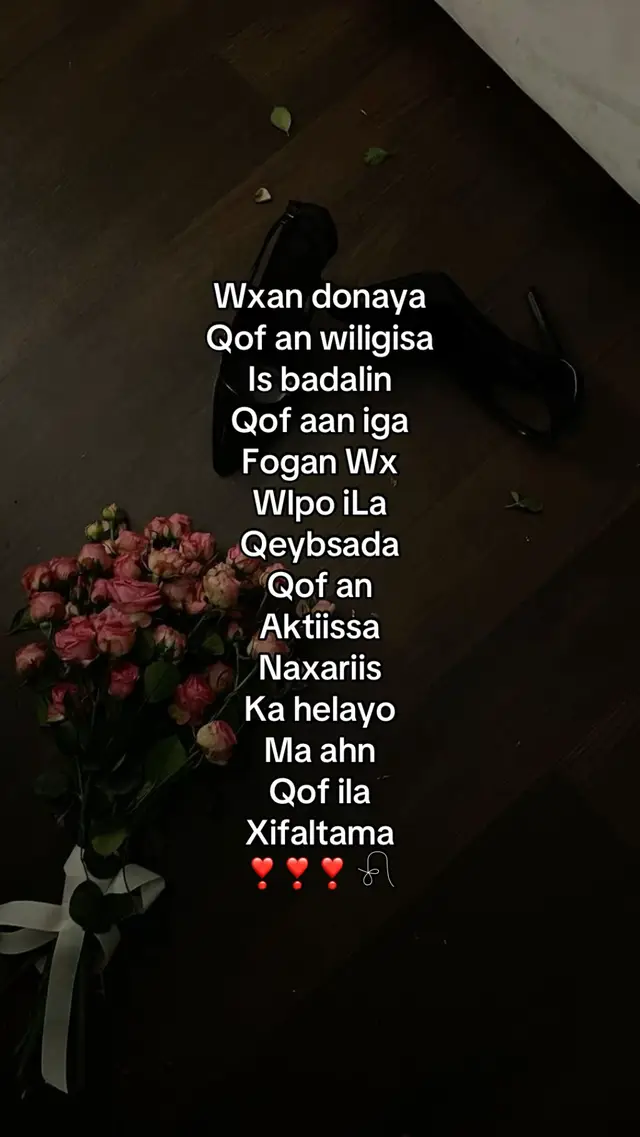 😽🩷🩷🩷🩷