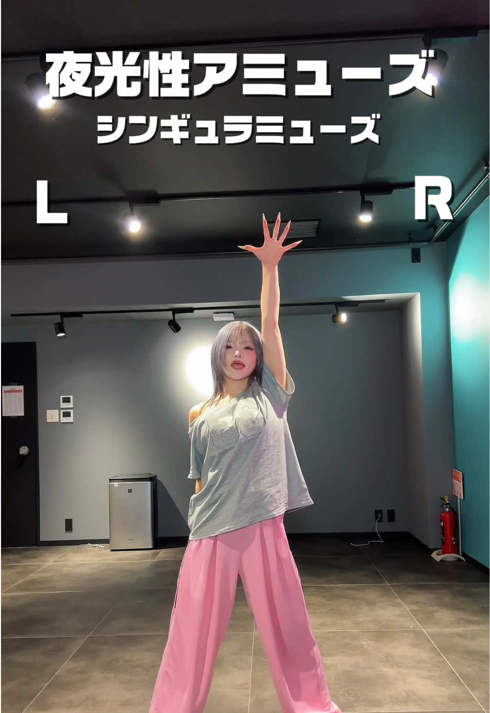 イントロ部分は横揺れでも合うよ☆ ➡️ツアーファイナルまであと16日⬅️ #ふてこ毎日踊るってよ　 #よるあみファイナル大作戦 #よるあみ 