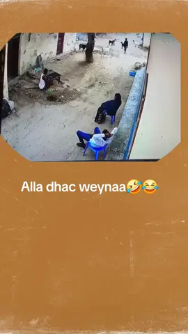 #waa ilmihii tuugada dhaleen kan