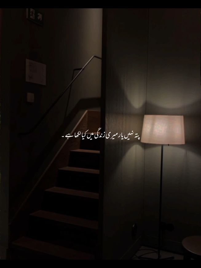 پتہ نہیں یار میری زندگی میں کیا لکھا ہے ۔ #foryou #foryoupage #1millionaudition #aesthetic #poetrystatus 
