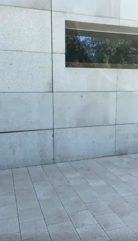 #bmx #mtb #edit #street #4k