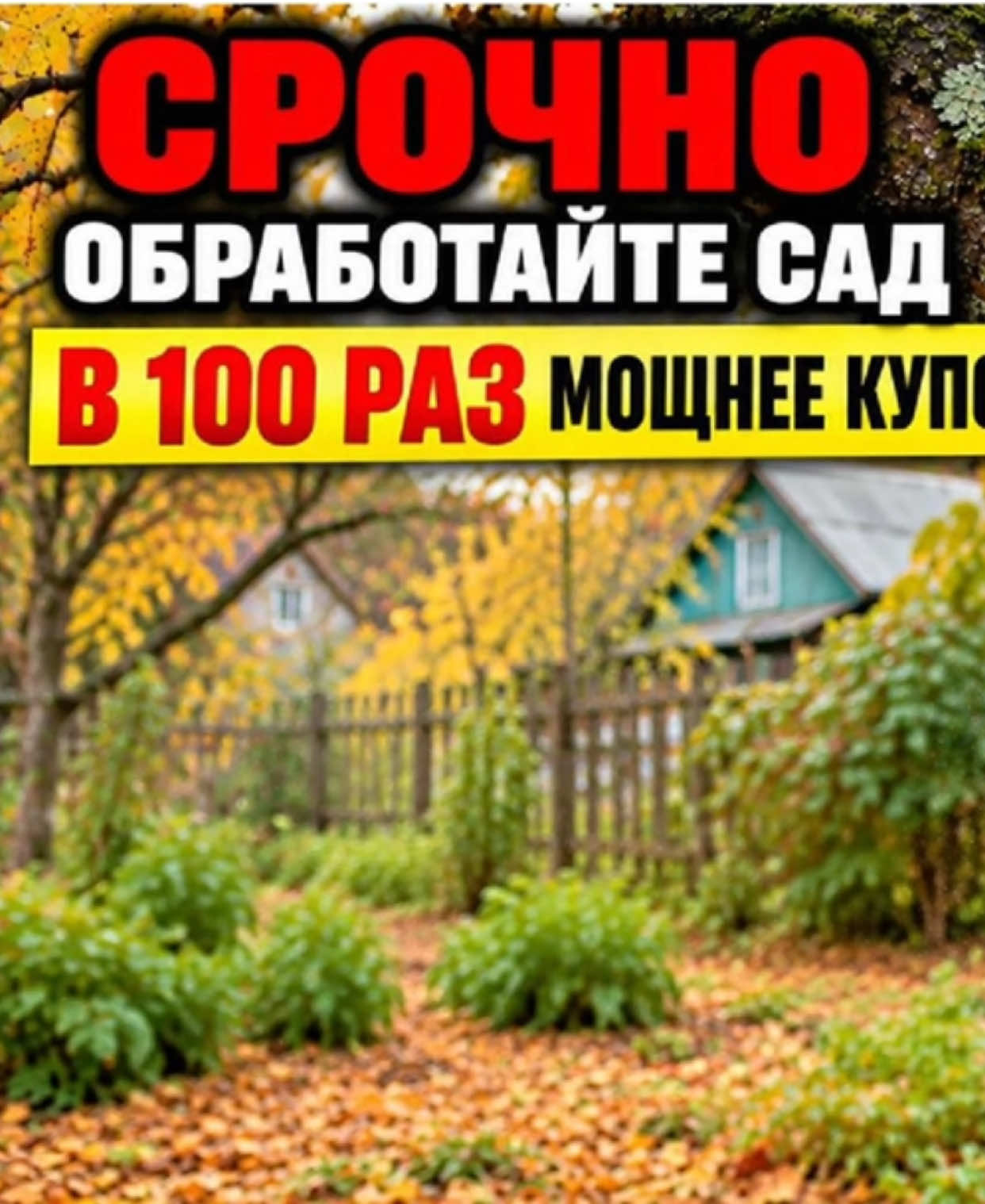 НИКОГДА НЕ ОБРАБАТЫВАЙТЕ САД ОСЕНЬЮ, ПОКА НЕ УЗНАЕТЕ ЭТИ 5 РЕЦЕПТОВ #дача #огород #обработка #сад #осень 