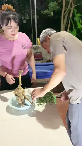 Phần 2. Siêu phẩm độc lạ gà cỗ cài cánh Phượng của Bà Mai #bamaitd #haihuoc #gacanhphuong #docla #LearnOnTikTok 