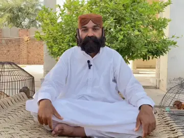 Cross breeding ka ha information video🎥 #iqbalkhan #punokhailmianwali #foryourpage #fypシ゚viral #unfrezzmyaccoun 