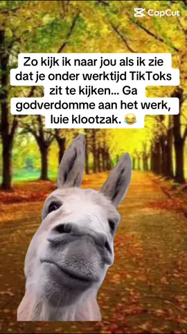 #Meme #MemeCut Geen zorgen, ik verklap je niet aan je baas 😂 Wie kijkt er nog meer stiekem TikTok op het werk? 👀#humor #fyp 