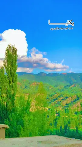 #foryoupage #vairalvideo #followers➕ #viwes #likevideo @💚کوچنی ❤️شباب🖤 @🦅عقاب پکتیاوال🦅 