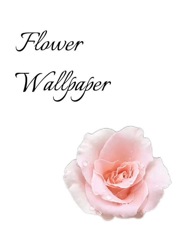 #flower #wallpaper #foryoupage #letter #widgify 
