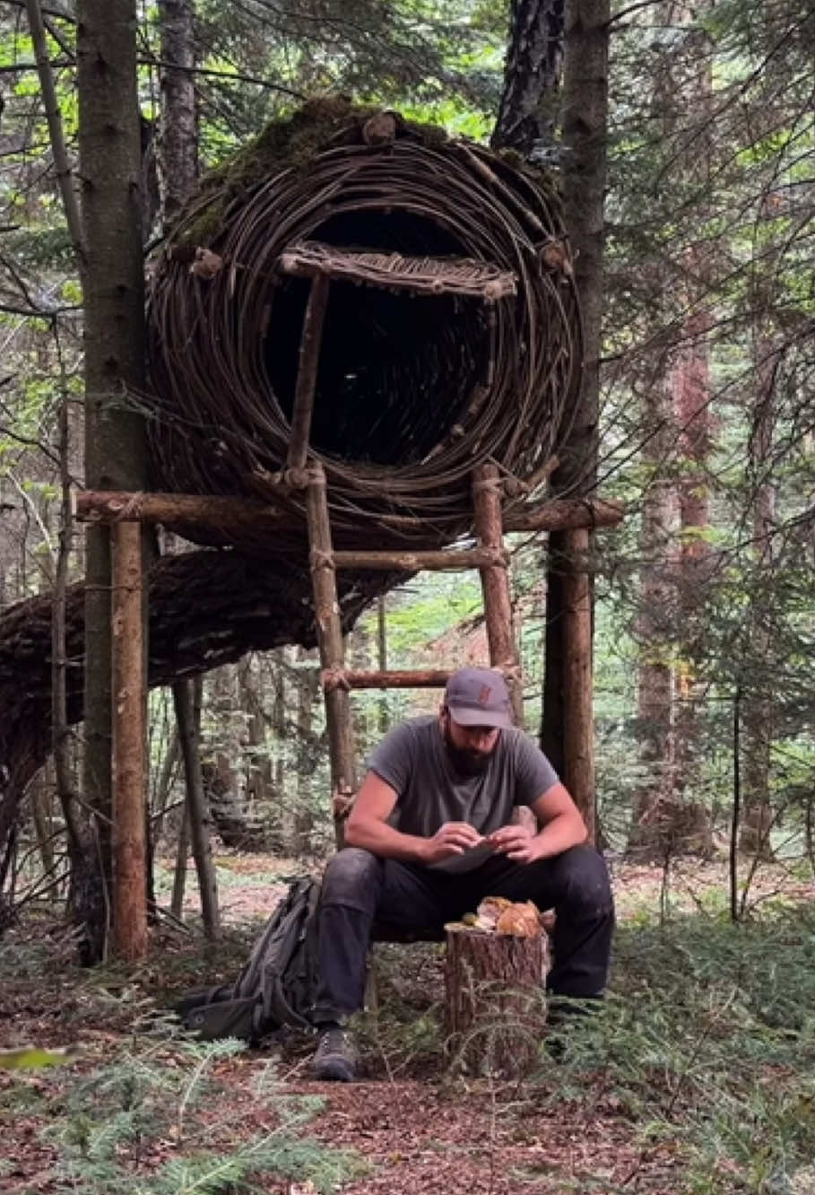 I Built a Giant Tree Nest #building #survival #shelter #bushcraft #asmr 