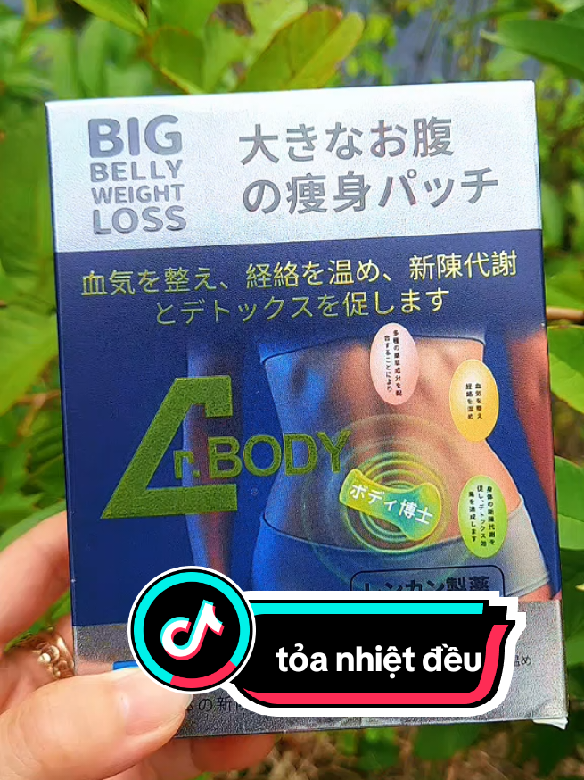Miếng dán thảo mộc Dr.body hộp 10 miếng #utgiang #miengdandrbody #xuhuong 