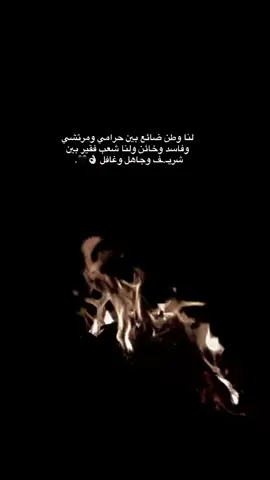 #طوباس_الشامخه🖤🔥 #نابلس_طوباس_جنين_طولكرم_خليل #مخيم_جنين_اسم_لن_يكرره_التاريخ💪 #الجغل💔 