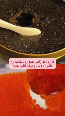 caviar #foryou #viral #duhok_zaxo_amedi_semel_akre #viral_video #zaxo_duhok_hewler_slemani_hawler_karkuk 