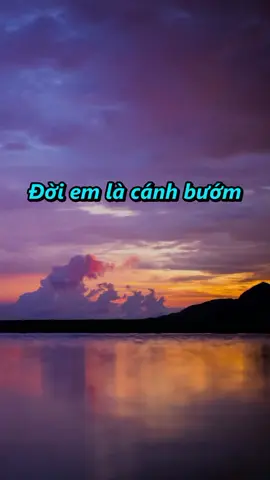 Đời Em Là Cánh Bướm Karaoke  #nhachaymoingay #top1linhnhac  #doiemlacanhbuom #nhackaraoke 