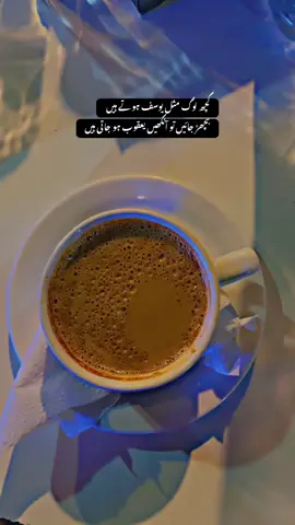 کچھ لوگ مثل یوسف ہوتے ہیں  بچھڑ جائیں تو آنکھیں یعقوب ہو جاتی ہیں#trendingsound #tealover #chailover #foryoupage #kamalia 