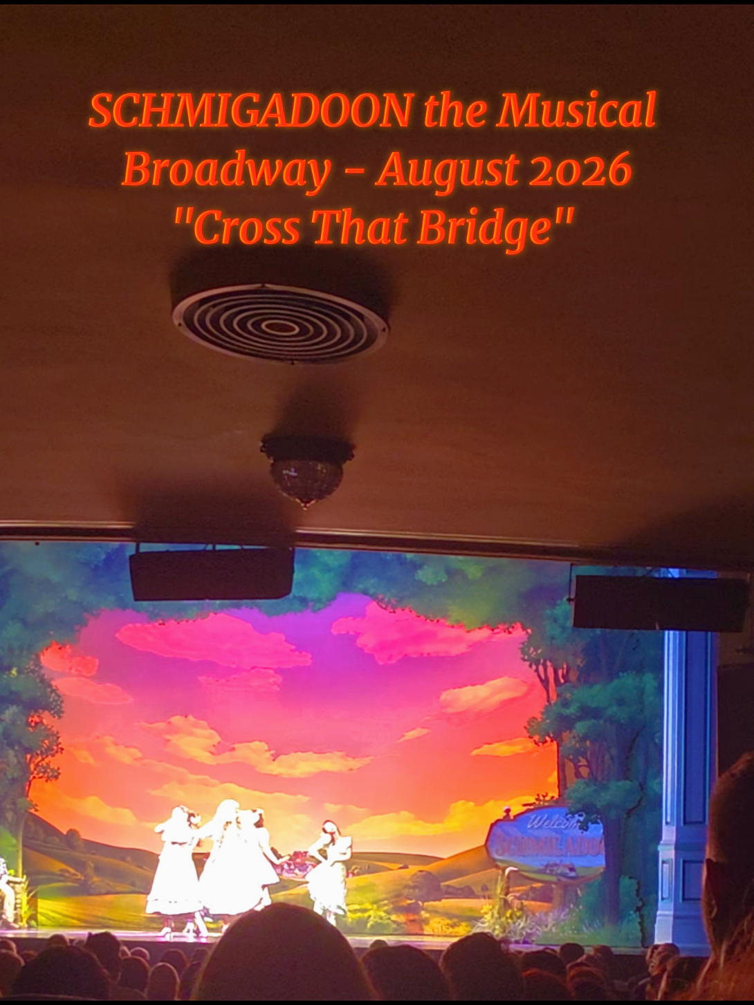 Schmigadoon is bonkaz! For a book & music to cleverly and skillfully parody such classics as The Music Man, Sound of Music, and The King I along with show-stopping tap sequences, gorgeous eye-popping hand painted sets, and vibrant costumes is to me just b-o-n-k-a-z! If you’ve seen the TV show (1st season), it’s pretty much line for line, step for step a remake of show to stage, and that is a great thing. Why mess with perfection? So if you can’t get to Broadway, watch it on Apple TV with the one and only Aaron Tveit who just ended his wonderous Holy Trinity run with Chess. If you are looking to see a show, this should be on top of your list as the performances across the board are spectacular, from Sara Chase (Melissa) who is the emotional and vocal anchor of the show to SNL alumni Ana Gasteyer (Mildred) who is funny as fcuk stepping into the morality police role. The show is a hockadoo “love letter” to classic Broadway shows past and not everyone is an aficionado so some of the subtle jokes will be missed but this show should not be because it’s more then just that, it’s a jubilant time at the theater. This is my 6th time seeing it (twice on Apple), Trust. Believe.  