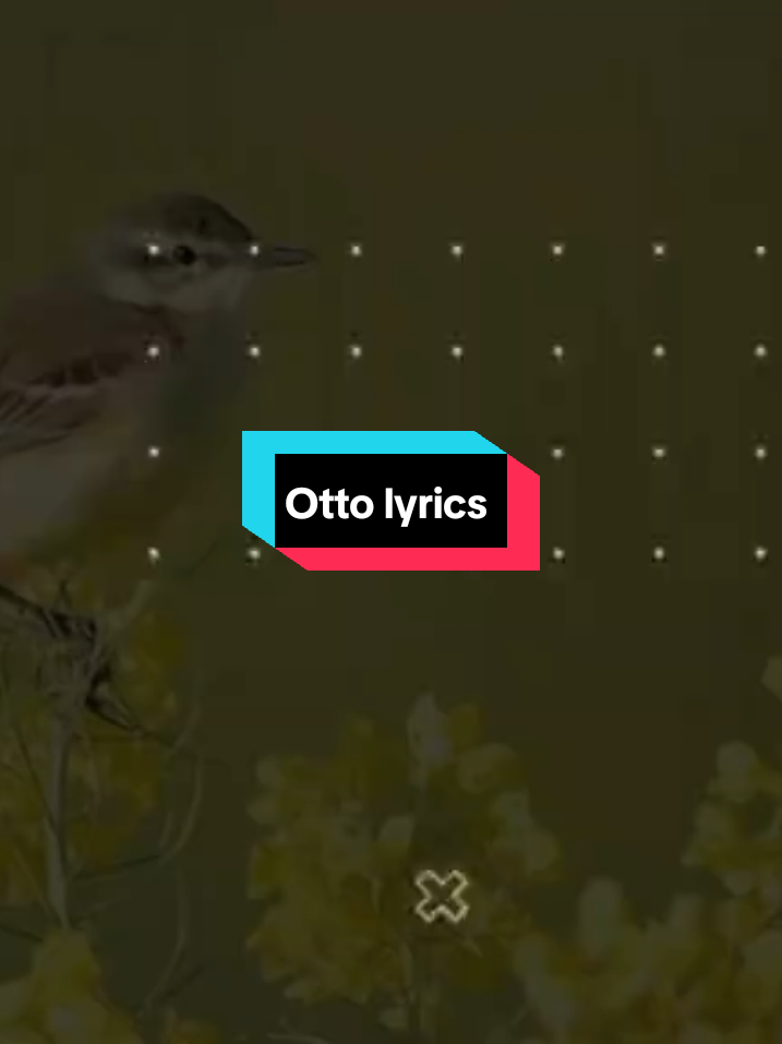 #trendingvideo #lyrics 