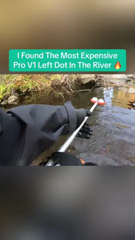 I Found The Most Expensive Pro V1 Left Dot In The River 🔥#golf #golfballhunting #prov1 #treasurehunt #golfhumor
