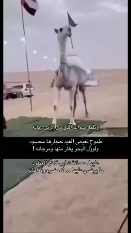 هزامة النهدي#النهدي #النايلات #الصياهد #الجفراني 