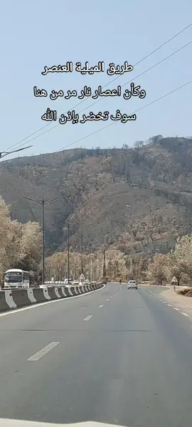 #tik_tok #videoviral #dz #