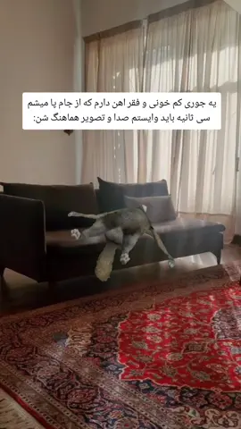 کمخونعلیم #فوریو_پاشم_بیام_جرت_بدم#فوریو#fyp#fouryou#viral