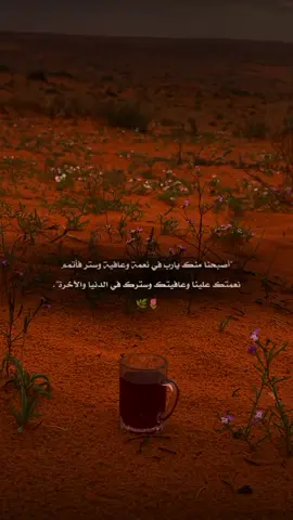 #ادعية_يومية #اكسبلورexplore 🤍🌷