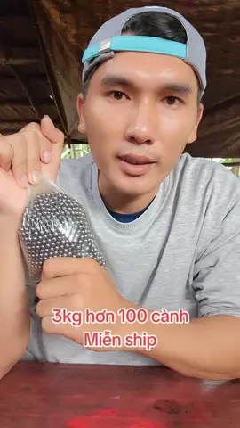 Bi xe #bi #bixe #bisat #phongbetong #xuhuong 