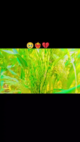#مشاهدات #تصوري📸 #خرافي #صعدو_الفيديو #تابعوني_رح_نزل_شي_جديد 