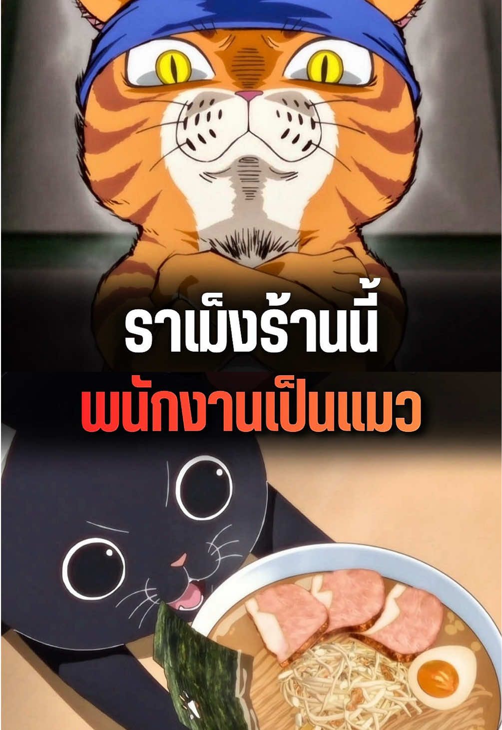 ร้านราเม็งที่พนักงานทั้งหมดเป็นแมว | ราเม็งอากาเนโกะ #อนิเมะ #anime #อนิเมะน่าดู #แนะนำอนิเมะ 