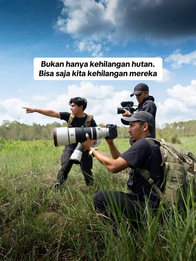Share dan simpan konten ini. 🌿 Biar semakin banyak orang tahu apa yang sedang terjadi pada hutan dan satwa Kalimanta
