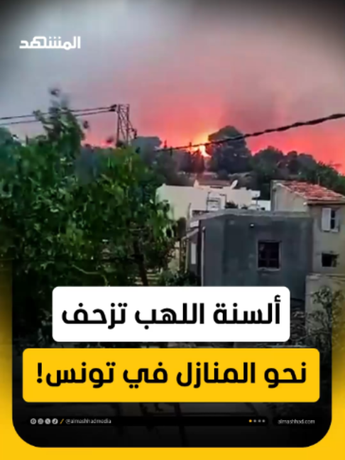 مشاهد مرعبة.. النيران تزحف نحو المنازل في سليانة التونسية! #اخبار_المشهد #تونس