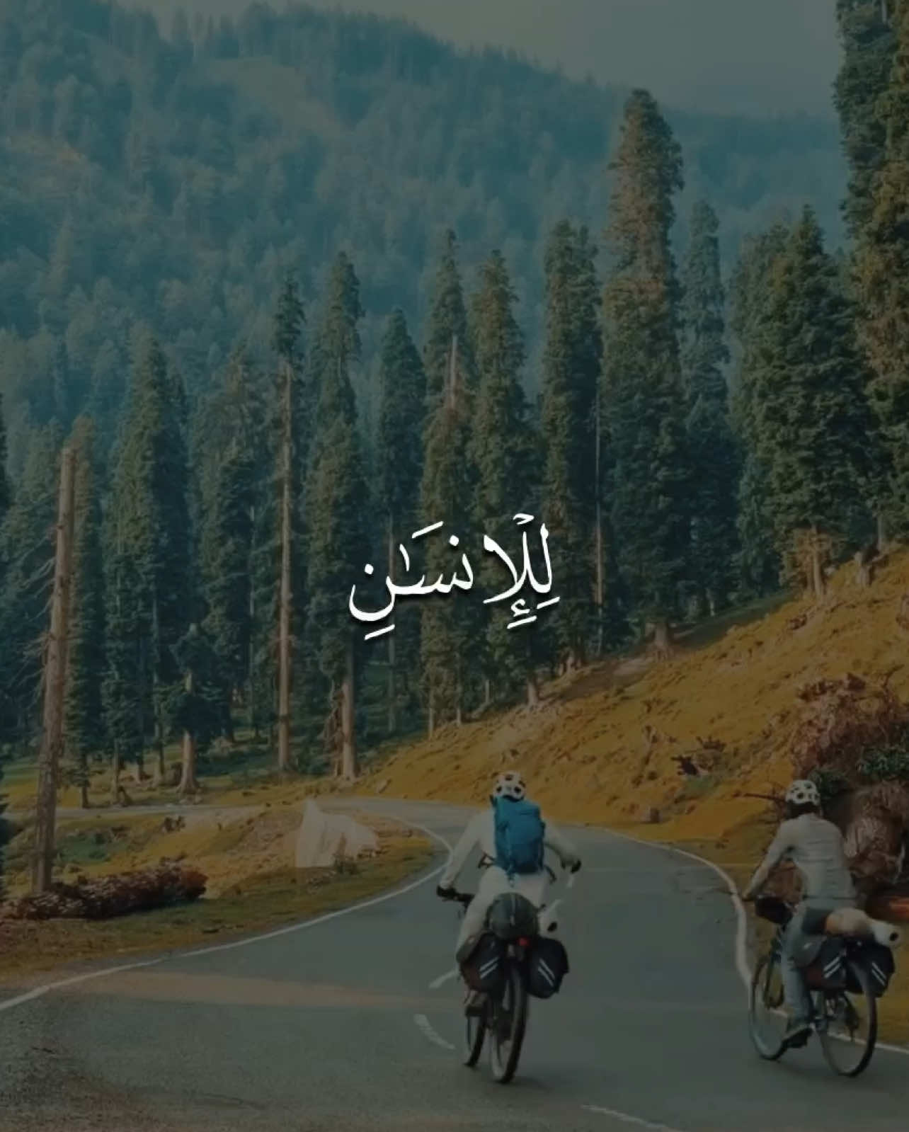 ﴿ وَأَن لَّيْسَ لِلْإِنسَـٰنِ إِلَّا مَا سَعَىٰ ﴾ 🤎 _ _ القارئ | ياسر الدوسري  سورة | النجم، الآية 39 __________________________________ #وأن_ليس_للانسان_الا_ماسعى#quran #اكتب_شيء_تؤجر_عليه🌿🕊 #قران #ياسر_الدوسري 