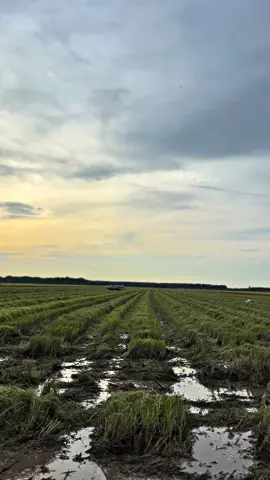 Mỗi người 1 em @phap Nguyễn @cậu hai 68 cũ @Tánh phạm @ĐứcHậu Drone @nhựt nguyễn ☺️😆 @SANG 