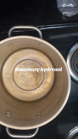 If you been feeling like you need to cleanse your energy… watch this.  Just a couple sprays of this rosemary hydrosol and you’ll be good to go! This is a rosemary hydrosol for cleansing and protection ✨🔮  #herbalmedicine #herbalist #herbalremedies #hydrosol #cleansingandprotection 