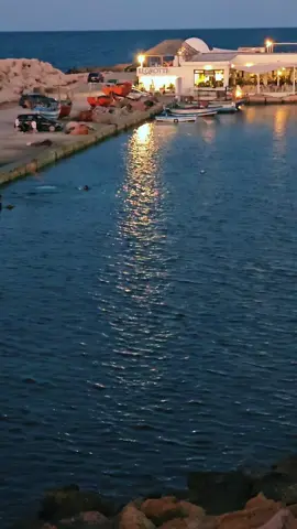 #المنستير #monastir #for #you #🥰 