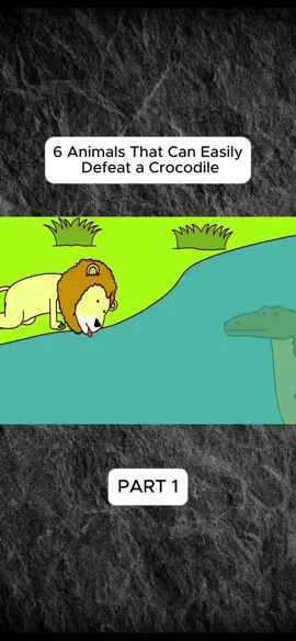6 Animals That Can Easily Defeat a Crocodile#animation 