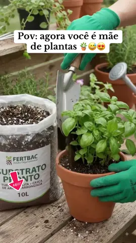 O melhor substrato que encontrei ✅🪴 #plantas #substrato #adubo 