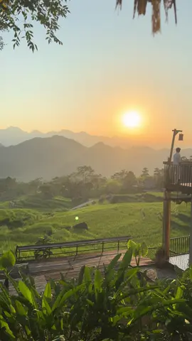 Mây ôm lấy núi, nắng dát vàng lên thung lũng. Có những buổi sáng chỉ cần ngồi yên nhấp một ngụm trà nóng, ngắm bình minh Pù Luông trôi chậm là đủ trọn vẹn cho một ngày. #dulichpuluong #puluongtrip 