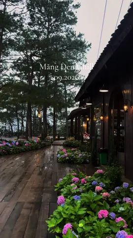 Quán cafe Thong Dong tại Măng Đen #mangden #rungthongmangden 