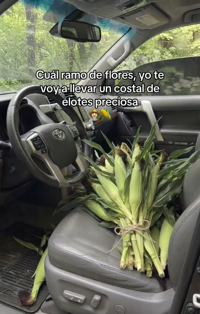 Un ramo natural 🙏🏻💐👨🏻‍🌾🌽😍 #campo #maiz #toyota #lancruiser
